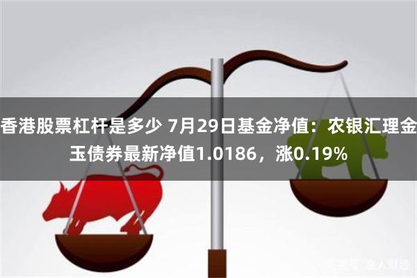 香港股票杠杆是多少 7月29日基金净值：农银汇理金玉债券最新净值1.0186，涨0.19%