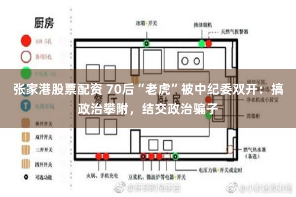 张家港股票配资 70后“老虎”被中纪委双开：搞政治攀附，结交政治骗子