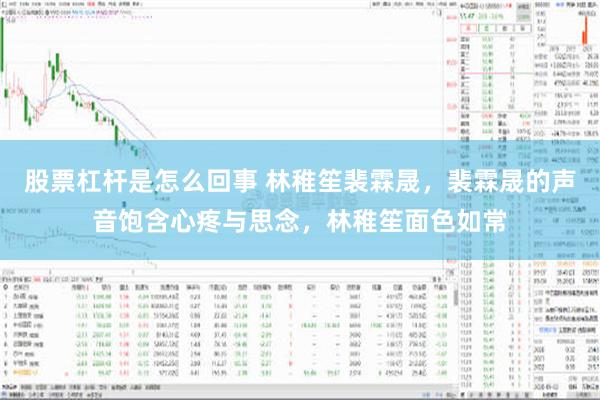 股票杠杆是怎么回事 林稚笙裴霖晟，裴霖晟的声音饱含心疼与思念，林稚笙面色如常