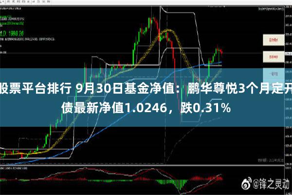 股票平台排行 9月30日基金净值：鹏华尊悦3个月定开债最新净值1.0246，跌0.31%