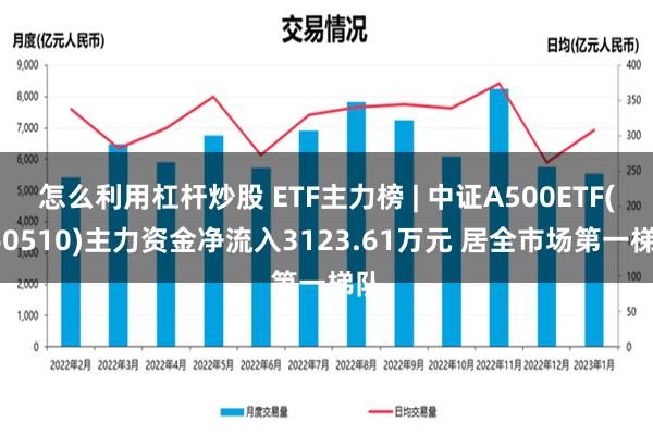 怎么利用杠杆炒股 ETF主力榜 | 中证A500ETF(560510)主力资金净流入3123.61万元 居全市场第一梯队