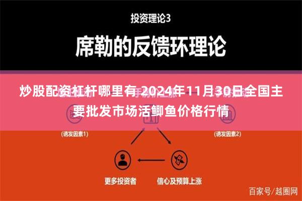 炒股配资杠杆哪里有 2024年11月30日全国主要批发市场活鲫鱼价格行情