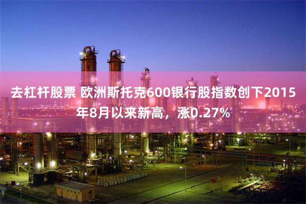 去杠杆股票 欧洲斯托克600银行股指数创下2015年8月以来新高，涨0.27%