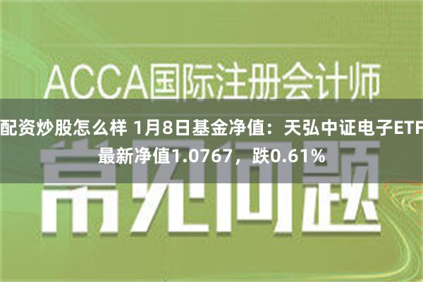 配资炒股怎么样 1月8日基金净值：天弘中证电子ETF最新净值1.0767，跌0.61%