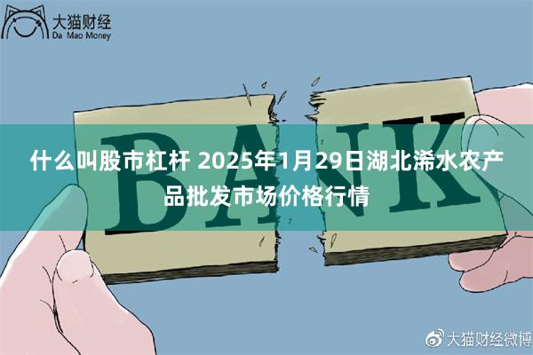 什么叫股市杠杆 2025年1月29日湖北浠水农产品批发市场价格行情